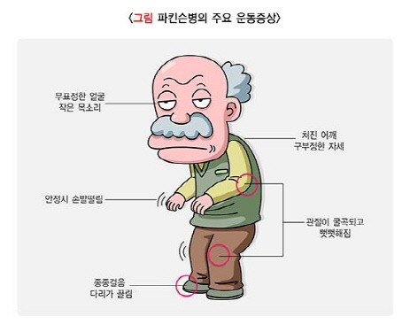 [출처:질병관리청 국가건강정보포털]