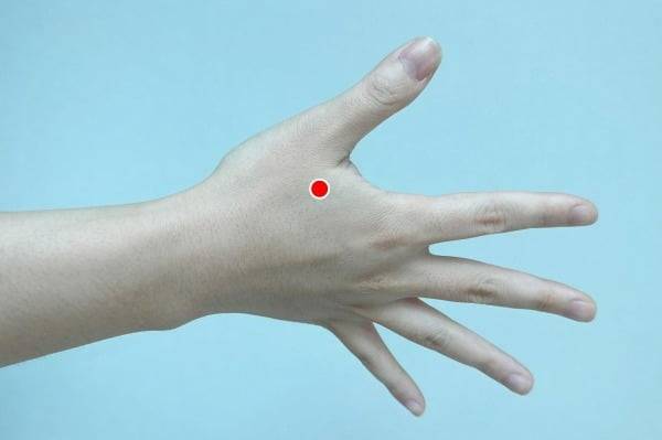 합곡혈 지압법. /사진=자생한방병원 제공