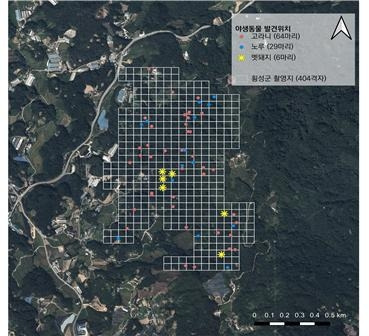 국립생물자원관이 드론을 활용해 강원 횡성군 횡성읍 국사봉을 중심으로 총 404격자(격자 간격 50mx50m)를 촬영한 결과 멧돼지 6마리와 고라니 64마리, 노루 29마리 등이 발견됐다. 국립생물자원관 제공