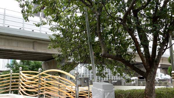 동래구에 위치한 하천 출입 차단 장치. 사진=오미래PD