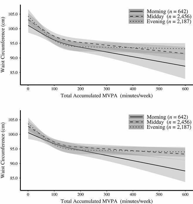 중·고강도 활동 패턴과 허리둘레(Waist Circumference) 연관성. 아침(Morning)그룹이 점심(Midday), 저녁(Evening)그룹보다 운동 효율이 더 뛰어나다. 그에 따른 허리둘레 수치도 유의미하게 더 낮다. / 사진=미국 프랭클린 피어스대