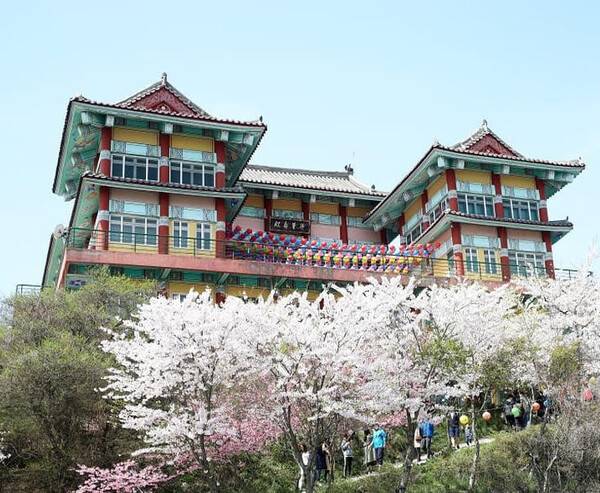 온라인 커뮤니티