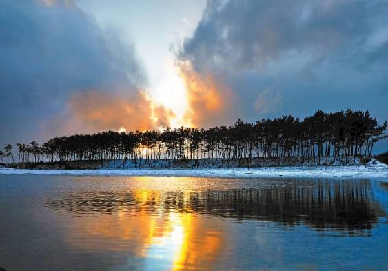 온라인 커뮤니티