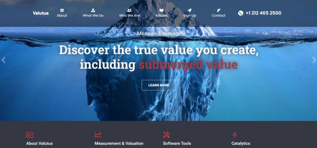 ▲ 벨루투스(Valutus) 홈페이지 갈무리.