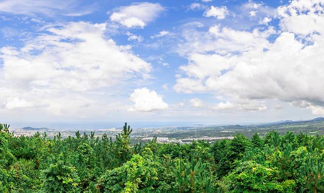 삼의악오름에서 내려다본 제주시내와 북쪽바다