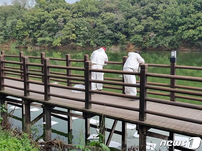 4일 경기 포천시 소홀읍 고모리저수지에서 포천시 직원들이 기름 제거를 위한 방제작업을 벌이고 있다. 이 저수지에선 전날 오전 11시9분께 민간헬기 1대가 추락해 기장 1명이 숨지는 사고가 났다. 2023.10.04./뉴스1 양희문 기자