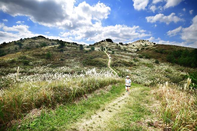 지난해 대회 경기 모습(서귀포시 제공)
