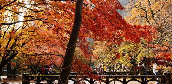 정읍 내장산&nbsp; / 전라북도문화관광