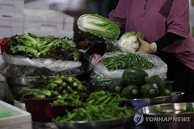 채소 [연합뉴스 자료 사진]