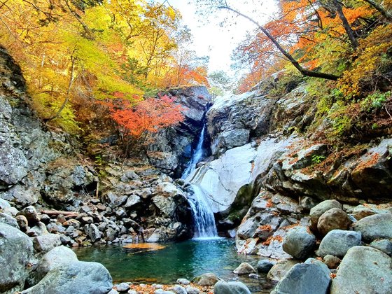 예약제로 운영하는 지리산 칠선계곡. [사진 국립공원공단]