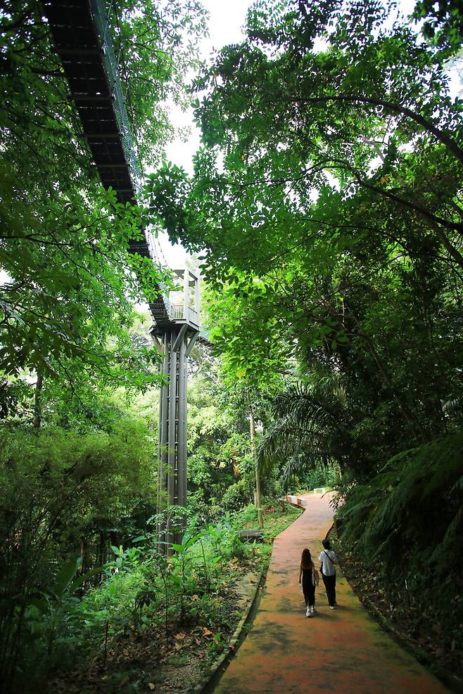 도심 속 은밀한 초록빛 정원, KL 포레스트 에코 파크