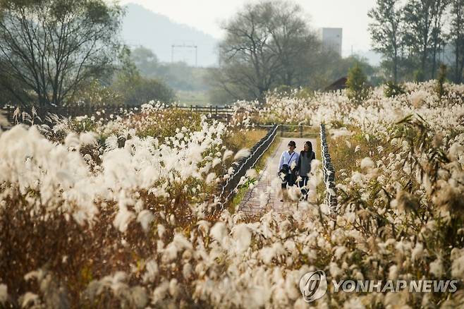 경남 김해시 화포천습지생태공원 [김해시 제공.재판매 및 DB 금지]