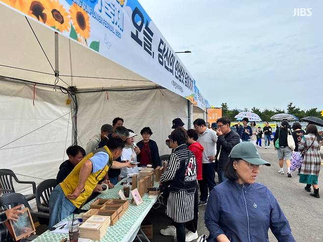 오늘(7일) 서귀포시 영천동 해바라기 축제장