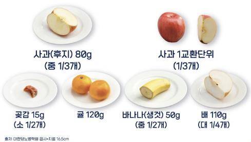 대한당뇨병학회가 제시한 과일 교환단위. 교환단위는 서로 바꿔먹을 수 있는 과일들의 중량을 말한다. 학회의 과일 섭취 권장량은 200ｇ이다. [대한당뇨병학회 제공]
