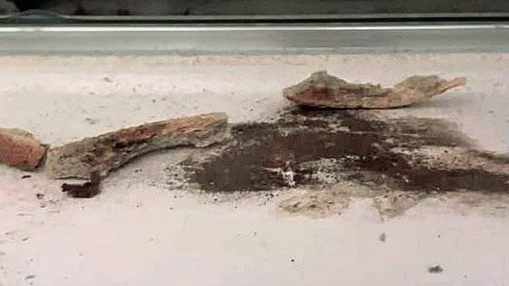 건설 현장 근로자가 먹다 버린 것으로 추정되는 샌드위치가 신축 아파트 천장 속에서 썩은 채 발견됐다. 사진 A씨=연합뉴스