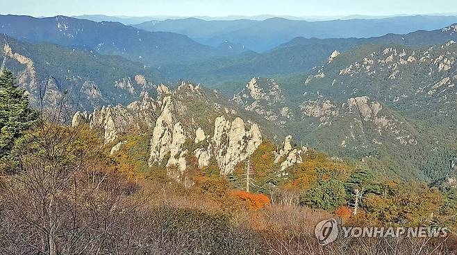 단풍들기 시작한 설악산 (속초=연합뉴스) 6일 강원 설악산 정상 인근 소청대피소 주변에 단풍이 들기 시작해 깊어가는 가을을 느끼게 한다. 2023.10.6 [설악산국립공원사무소 제공.재판매 및 DB 금지] hak@yna.co.kr