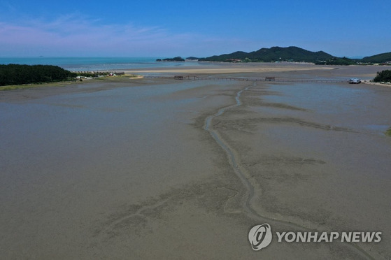 갯벌. 사진은 기사 내용과 관계 없음 〈사진=연합뉴스〉