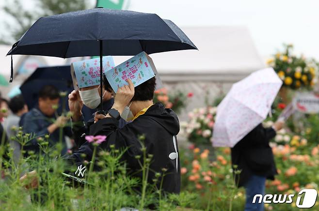 찬 이슬이 맺히기 시작한다는 한로(寒露)인 8일 서울 마포구 하늘공원을 찾은 시민들이 우산을 쓰고 꽃을 구경하고 있다. 2023.10.8/뉴스1 ⓒ News1 김민지 기자