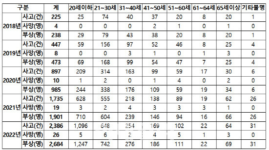 개인형이동장치(PM) 교통사고 현황(2018~2022년)(자료=조은희 의원실)