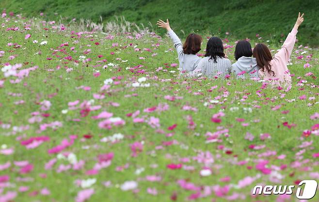 찬 이슬이 맺히기 시작한다는 한로(寒露)인 8일 서울 마포구 하늘공원을 찾은 시민들이 사진을 찍고 있다. 2023.10.8/뉴스1 ⓒ News1 김민지 기자