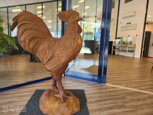 지난 8월 30일(한국시간) 마비텍 본사 정문 앞에 세워진 닭 동상. 이 회사는 2002년 닭의 부산물을 재활용하는 시설 개발로 시장에 뛰어들었다. 이 시설 운영비의 절반이 연료비라는 고객들 의견을 반영해서 개발한 것이 가축분뇨를 '에너지'로 전환하는 재자원화 시설이다. 헤이르휘호바르트=윤현종 기자