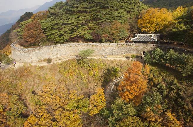 남한산성 소나무숲. / 사진제공=경기도