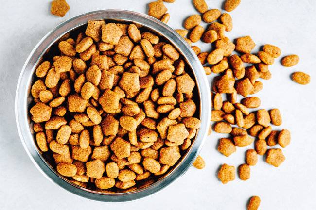 반려견에게 사료를 얼마나 줄지 결정하기 위해서는 사료 칼로리와 반려견의 기초대사량을 알아야 한다. [GETTYIMAGES]