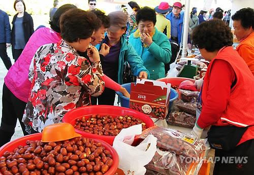 보은대추축제 [연합뉴스 자료사진]