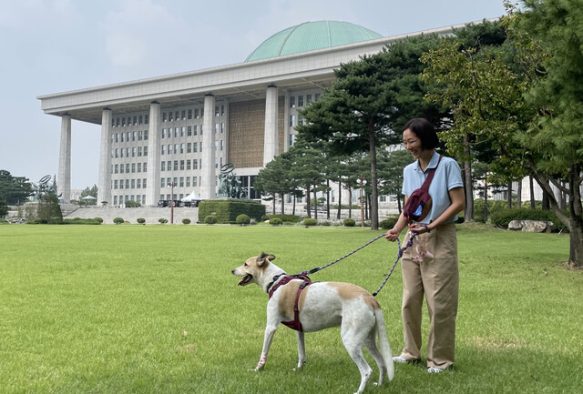 지난달 19일 오전 서울 여의도 국회도서관 야외음악당에서 열린 ‘개농장 구조견과 함께하는 산책, 꽃길’ 행사에 참석한 개농장 구조견 ‘도담이’가 국회 본관 앞에서 산책을 즐기고 있다. 김지숙 기자 suoop@hani.co.kr