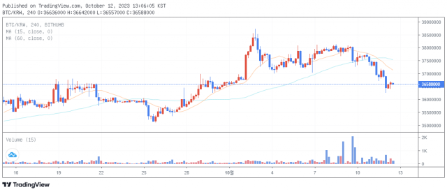 12일 1시 5분 기준 비트코인(BTC) 가격 차트/출처=빗썸