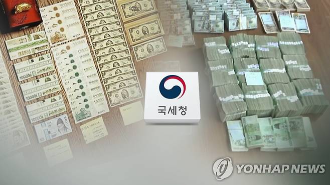 국세청 (CG) [연합뉴스TV 제공]