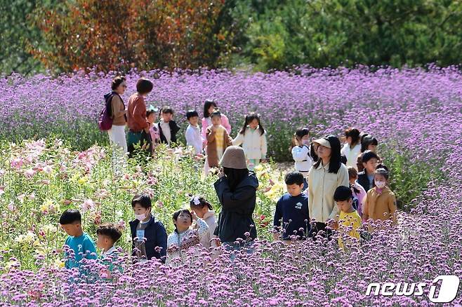 12일 강원 인제 용대리 관광단지 일원 인제가을꽃축제장에서 어린이들이 가을 나들이를 즐기고 있다. 인제군은 기존 15일까지였던 축제기간을 오는 22일까지 일주일 연장했다.(인제군 제공) 2023.10.12/뉴스1 ⓒ News1 이종재 기자