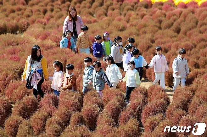 12일 강원 인제 용대리 관광단지 일원 인제가을꽃축제장에서 어린이들이 가을 나들이를 즐기고 있다. 인제군은 기존 15일까지였던 축제기간을 오는 22일까지 일주일 연장했다. (인제군 제공) 2023.10.12/뉴스1 ⓒ News1 이종재 기자