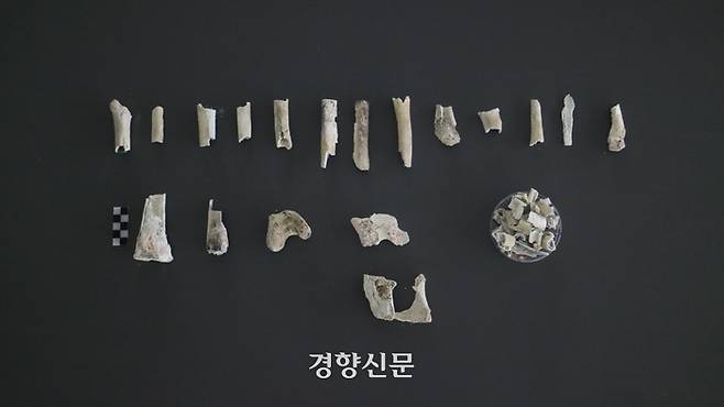 2005년 3월 경북 포항시 도음산 일대에서 발굴한 고 이영조 하사의 유해. 국방부 유해발굴감식단 제공