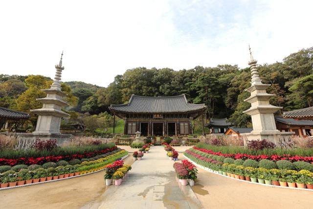 문경 도천사지에서 옮겨온 삼층석탑과 조화를 이룬 직지사 대웅전. ⓒ박준규