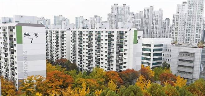 서울 대치동 선경아파트 등 노후단지가 최근 신고가를 경신하는 등 가격 상승을 주도하고 있다.   /한경DB