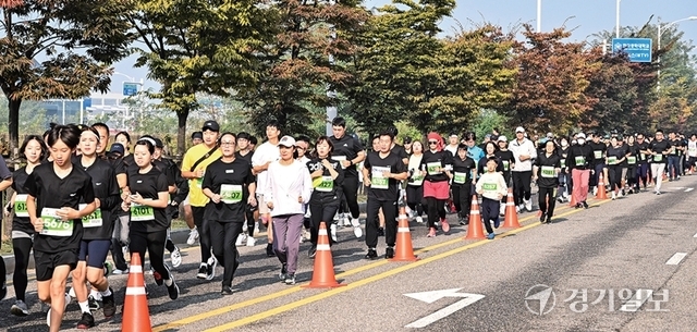 참가자들이 가을 단풍이 물들어가는 거북섬 일대를 달리고 있다. 김시범·홍기웅기자