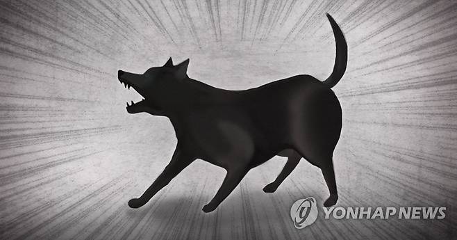 개 공격·위협 (PG) [제작 정연주] 일러스트