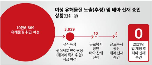 여성 유해물질 노출(추정) 및 태아 산재 승인 상황 그래픽=강준구 기자