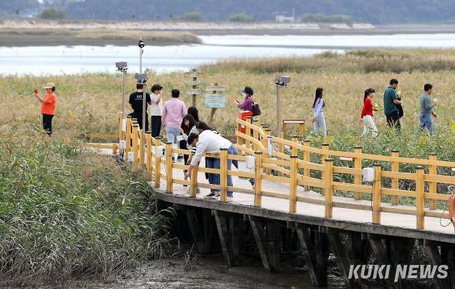 ‘춤추는 갈대밭 따라 피어나는 꽃, 사람’을 주제로 13일부터 22일까지 강진만 생태공원에서 열리는 ‘제8회 강진만 춤추는 갈대 축제’가 첫날 1만1000명의 인파가 몰리면서 흥행을 예고했다. 사진=강진군