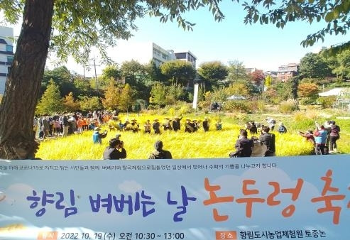 지난해 열린 은평 향림 논두렁 축제의 모습. 은평구 제공