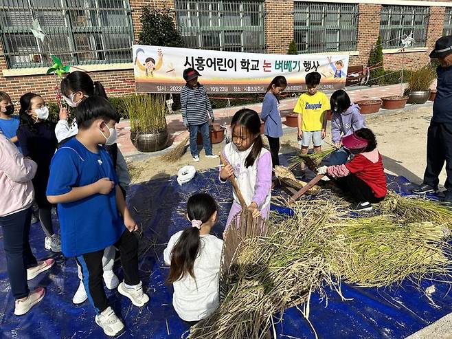 서울 금천구에서 관내 초등학교 학생들을 대상으로 진행중인 '농촌체험 벼 베기 행사' ⓒ금천구청 제공