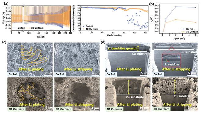 3차원 다공성 구리 음극 집전체 도입을 통한 전기화학 특성평가 및 리튬 덴드라이트 형성 이미지