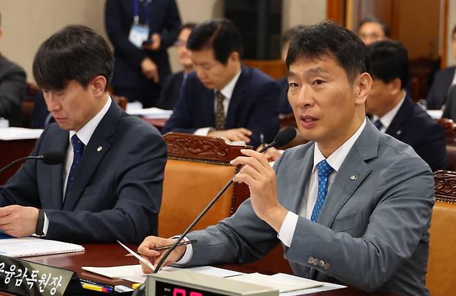 이복현 금융감독원장이 17일 서울 영등포구 금융감독원에서 열린 금감원에 대한 국회 정무위원회 국정감사에서 답변을 하고 있다./사진=김병언 기자