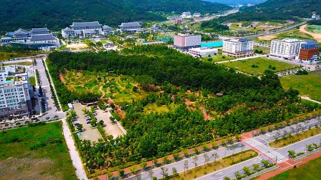 경북도청신도시 '천년숲'./사진제공=경북도