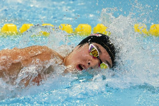 김우민이 17일 전국체육대회 수영 남자 일반부 계영 400m 결승에서 역영하고 있다. 연합뉴스