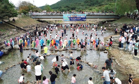 지난 6~8일 전북 완주군이 개최한 '제11회 완주 와일드&로컬푸드 축제' 체험 프로그램인 '맨손 물고기 잡기' 모습. 완주군에 따르면 하천에 풀어놓은 양식 송어 3200마리를 사흘간 1300명가량이 맨손으로 잡았다.