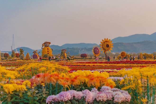 제23회 마산국화축제에서는 10만여본의 국화와 함께 다채로운 볼거리를 즐길 수 있다.