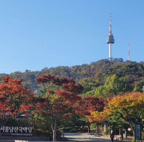 울긋불긋한 남산 전경 / 사진 = 남산골 한옥마을 인스타그램