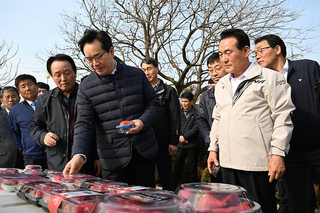 정환근 농식품부장관이 20일 충남 논산시 딸기 생산농가를 찾아 수출용 딸기를 살펴보고 있다. 2023. 03. 20 논산시 *재판매 및 DB 금지